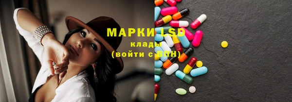 дурь Инта