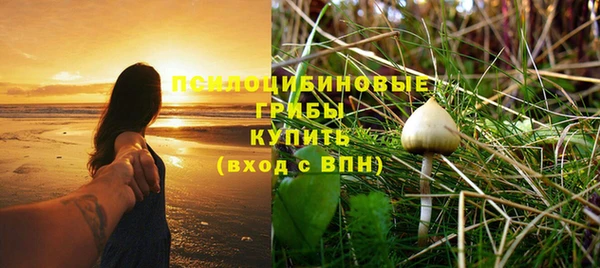 дурь Инта