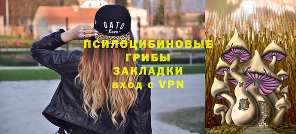 СК Инсар