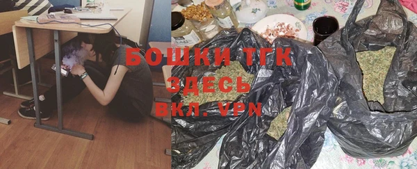 дурь Инта