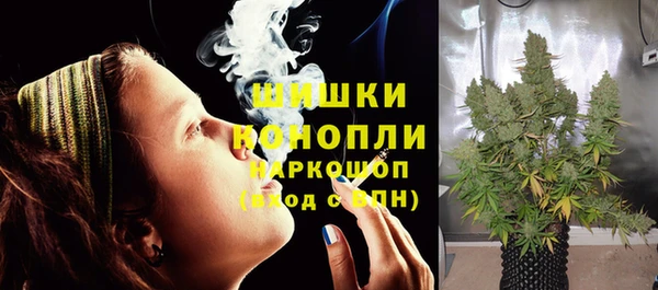 СК Инсар