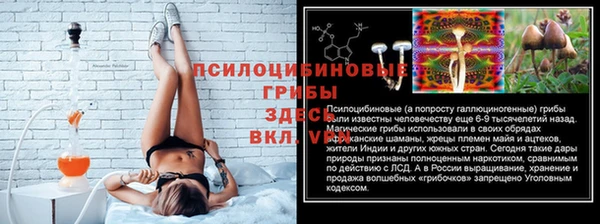 дурь Инта