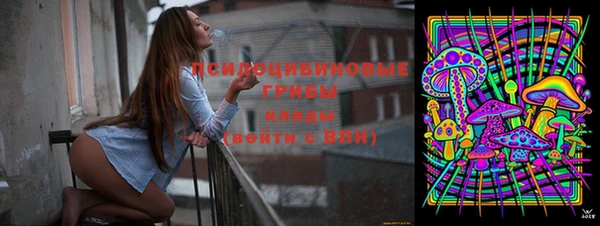 хмурый Иннополис