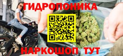 Альфа ПВП Тулун