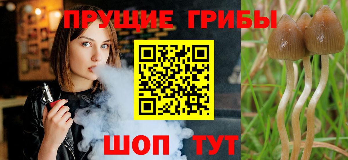 Псилоцибиновые грибы мицелий Севастополь